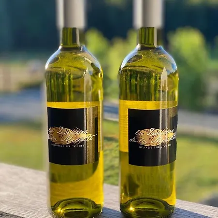 Bed & Breakfast La Douceur De La Miclette Ellezelles