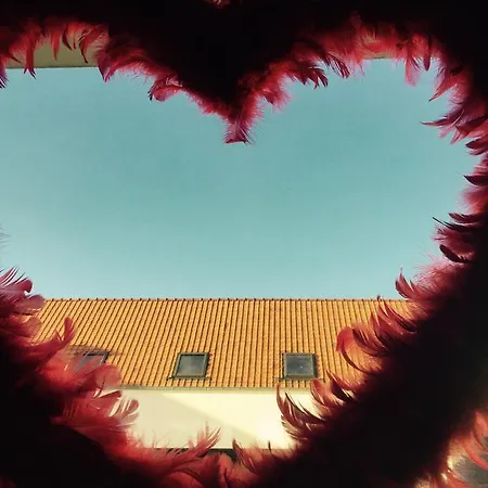 Bed & Breakfast La Douceur De La Miclette Ellezelles