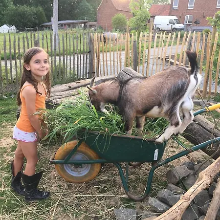 La Douceur De La Miclette Bed & Breakfast Ellezelles