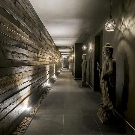 Bed & Breakfast La Douceur De La Miclette Ellezelles