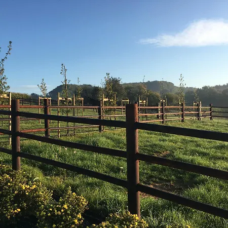 Bed & Breakfast La Douceur De La Miclette Ellezelles