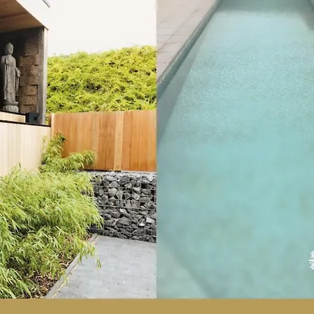 Bed & Breakfast La Douceur De La Miclette