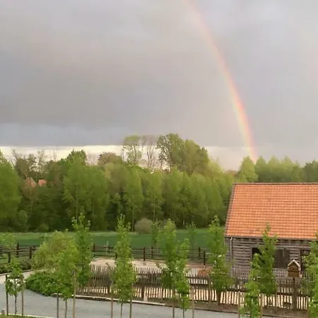 Bed & Breakfast La Douceur De La Miclette Ellezelles