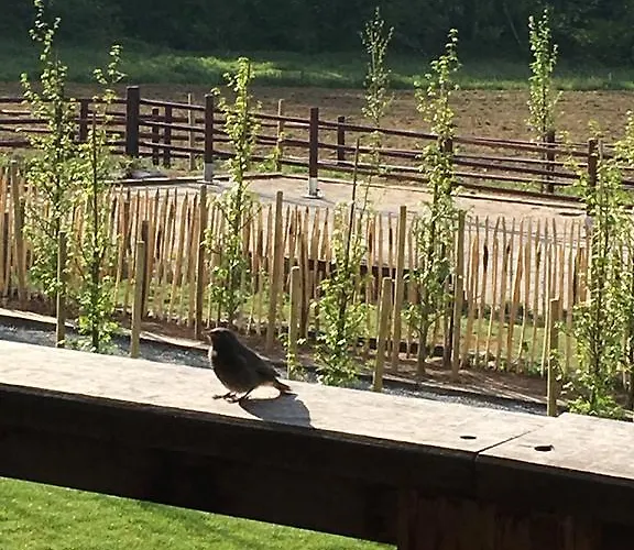 La Douceur De La Miclette Bed & Breakfast 4*